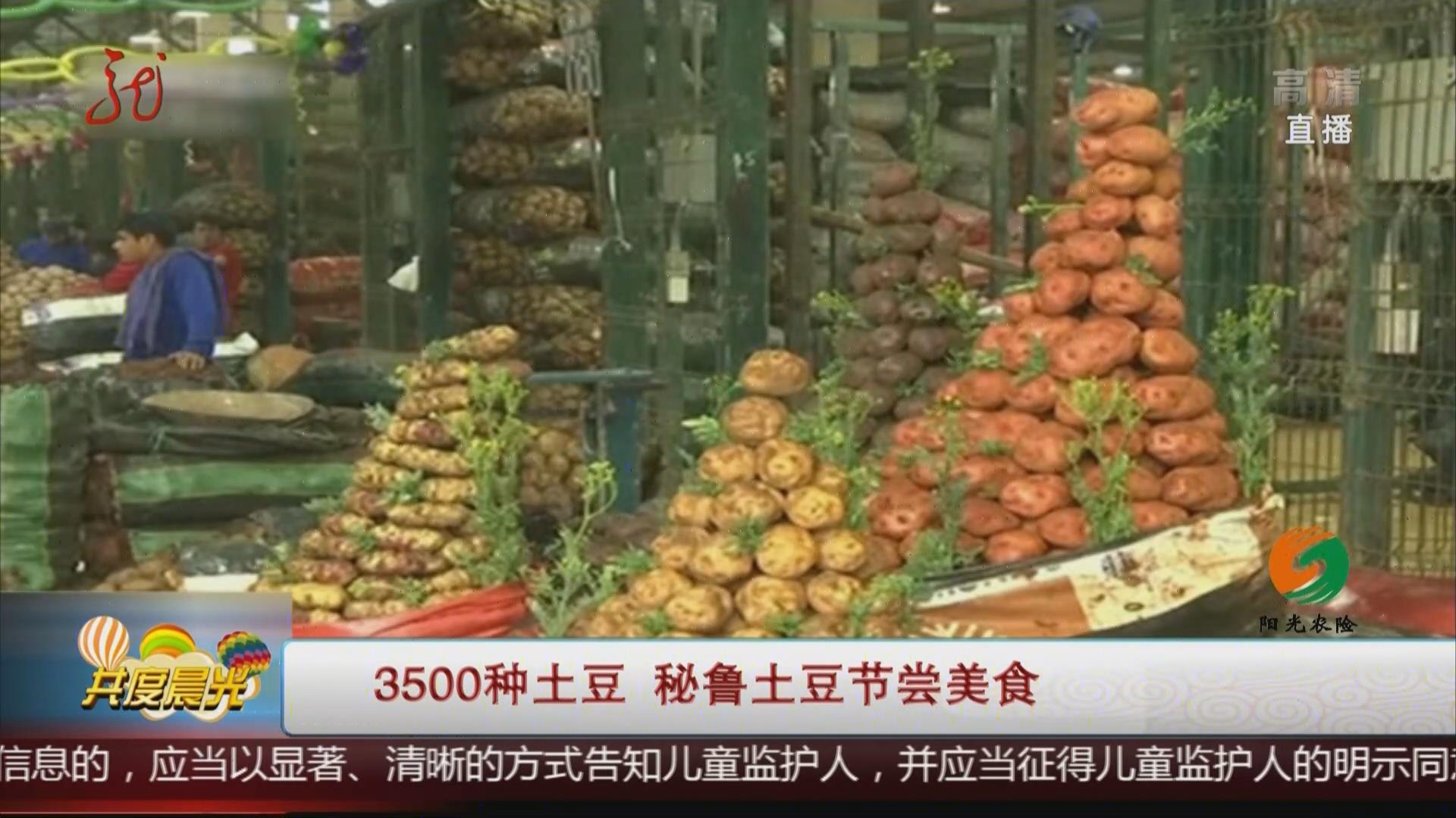 3500种土豆秘鲁土豆节尝美食